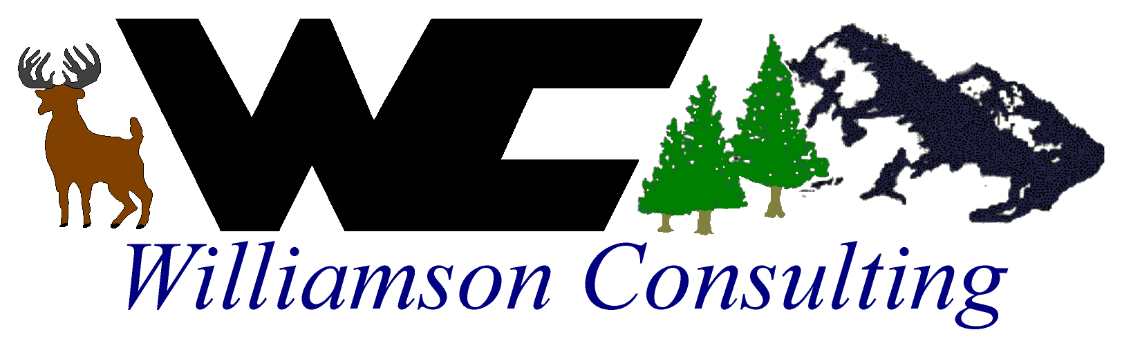 Williamson Consulting Logo